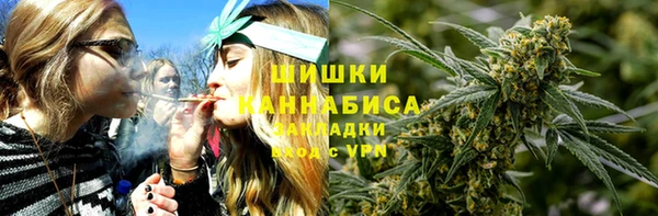 соль ск Алексин