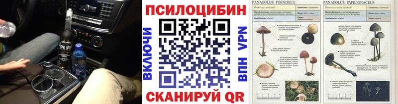 закладки  Кирсанов  Галлюциногенные грибы Psilocybe 